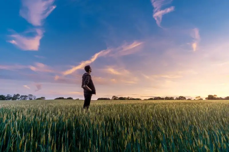 un homme qui regarde le coucher de soleil dans un champs, futur écologique